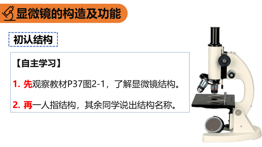 2.1.1练习使用显微镜课件(共21张PPT)人教版初中生物七年级上册