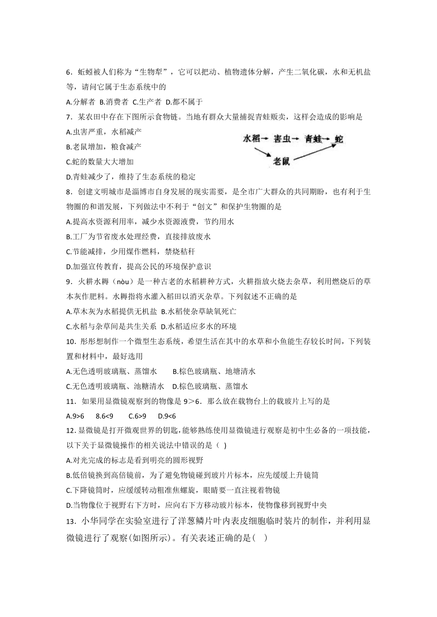 山东省淄博市临淄区（五四制）2021-2022学年上学期六年级期末生物试题（word版无答案）