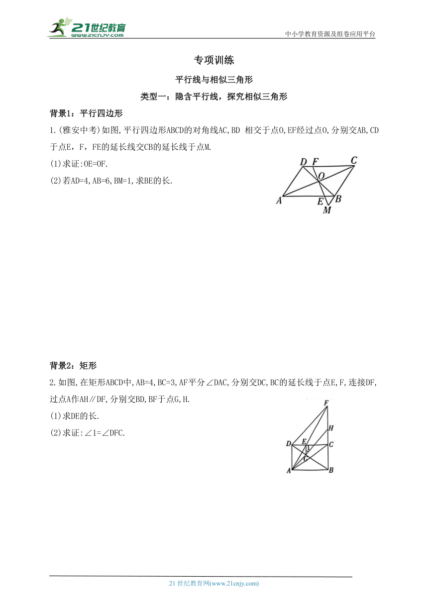 专项训练  平行线与相似三角形（含答案）