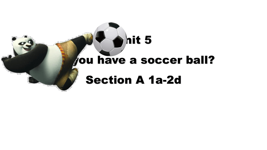 Unit 5 Do you have a soccer ball SectionA 1a-2d 课件(共29张PPT)+内嵌音频