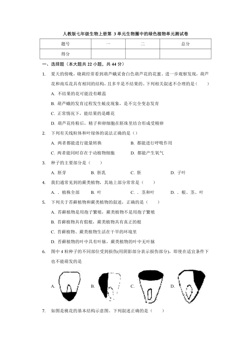 人教版七年级生物上册 第3单元 生物圈中的绿色植物 单元测试卷（Word版含解析）