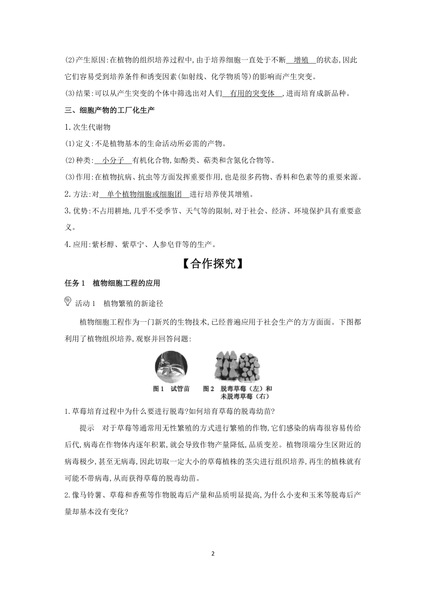 2.1  植物细胞工程的应用 第2课时  学案 2023-2024学年高二生物人教版（2019）选择性必修3（含答案）