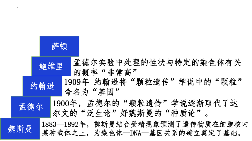 生物人教版（共2019）必修2 2.2基因在染色体上（共28张ppt）