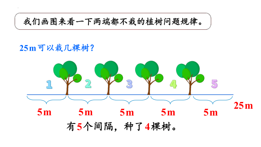 第七单元 第2课时 植树问题（2）（课件) 五年级数学上册 人教版(共26张PPT)