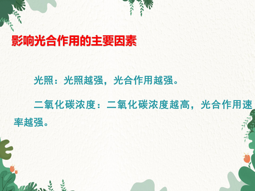 人教版生物七年级上册 第三单元 第五章绿色植物与生物圈中的碳-氧平衡复习课件(共22张PPT)