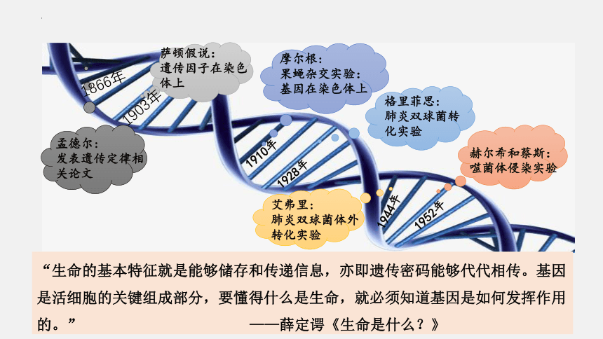 2021-2022学年高一生物浙科版（2019）必修2 第三章第二节遗传信息编码在DNA分子上（课件）（25张ppt）