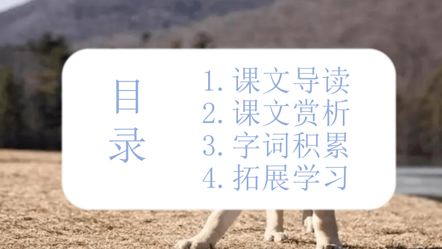 14.《小狗学叫》课件(共17张PPT)