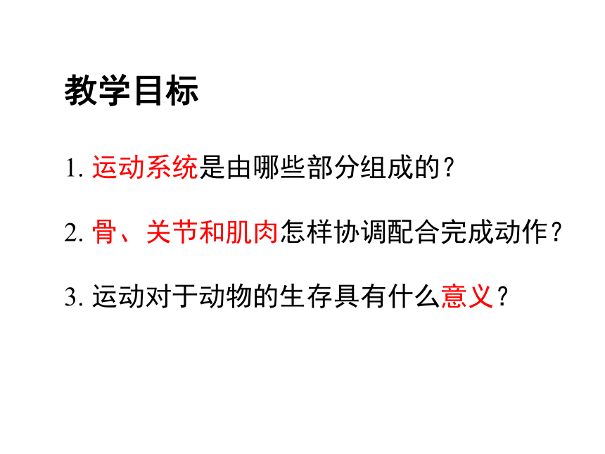 第二章第一节动物的运动 课件(共35张PPT)2021--2022学年人教版八年级生物上册