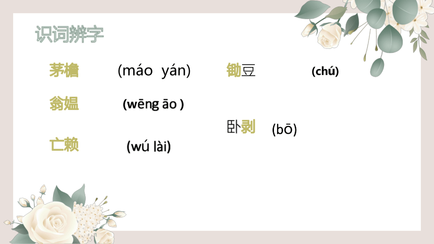 语文四年级下册1古诗词三首《 清平乐·村居》  课件 (共20张PPT)