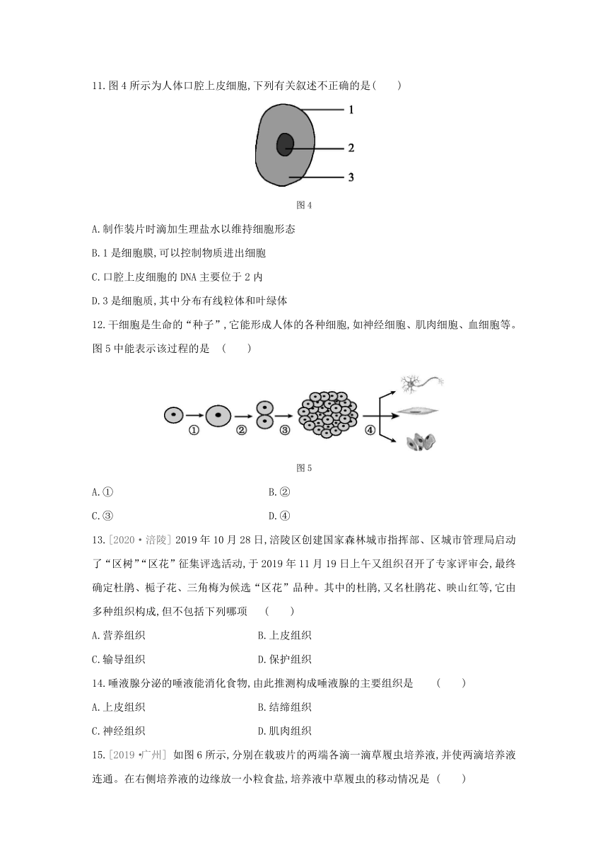 2021—2022学年人教版七年级生物上册综合测试题 （word版 含解析）