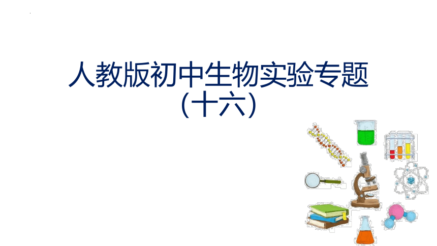 实验十六 小鼠走迷宫获取食物的学习行为课件(共22张PPT)-中考生物全册实验分析设计（人教版）