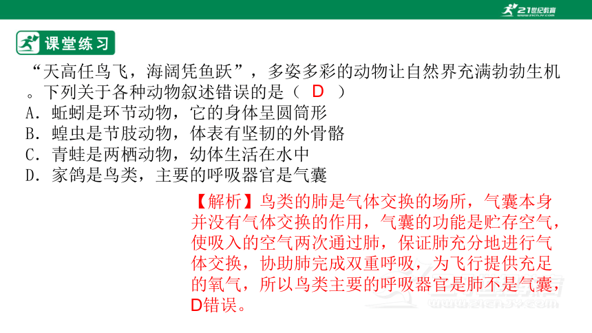 人教版5.1.6 鸟-2022-2023学年八年级生物上册 同步课件(共30张PPT)