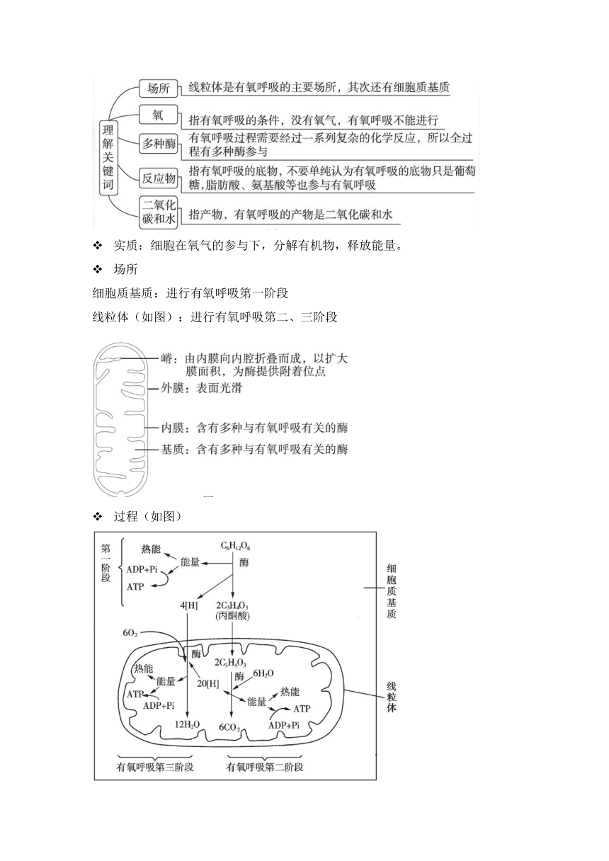 人教版（2019）必修一-《细胞的能量供应和利用》-“细胞呼吸”章节重点归纳&典例示范学案（含答案）