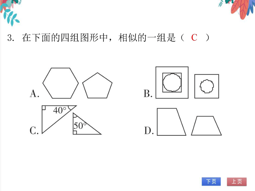 【北师大版】数学九年级（上）4.3 相似多边形 习题课件