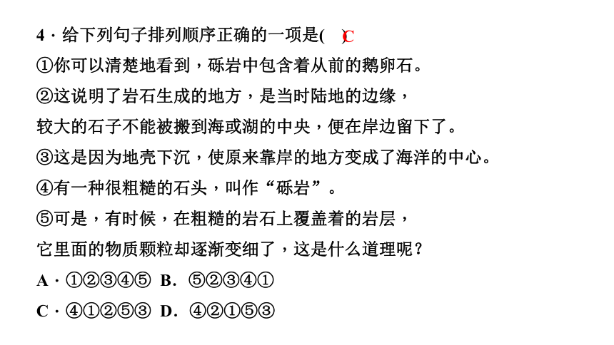 8 时间的脚印 讲练课件—四川省2020-2021学年八年级下册语文部编版（26张PPT）