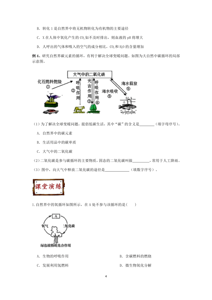 【快人一步】浙教版2022-2023学年寒假八（下）科学讲义（二十四）：自然界中的氧循环和碳循环【wrod，含答案】