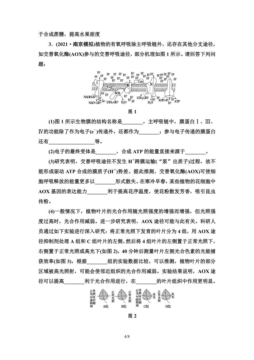 【二轮学案】高考生物大概念升华课2　细胞的生命活动需要能量和营养物质，并通过分裂实现增殖（含答案）