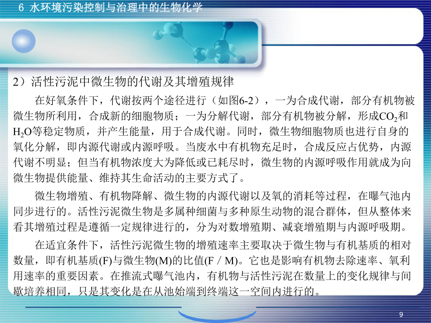 6.1污、废水生物控制与治理生物化学 课件(共38张PPT)- 《环境生物化学》同步教学（机工版·2020）