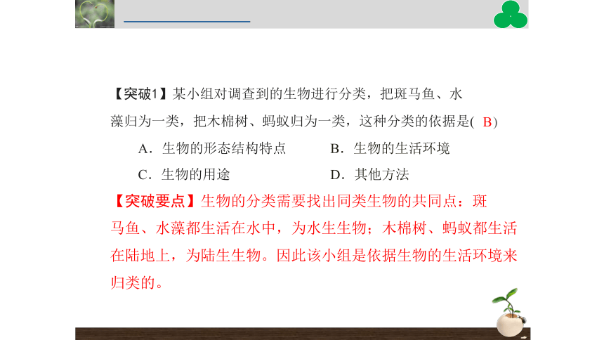 1.1.2  调查周边环境中的生物  课件(共43张PPT)2022-2023学年人教版生物七年级上册