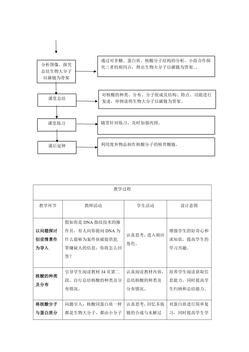 高中生物人教版（2019）必修一 2.5 核酸是遗传信息的携带者 教案（表格式）
