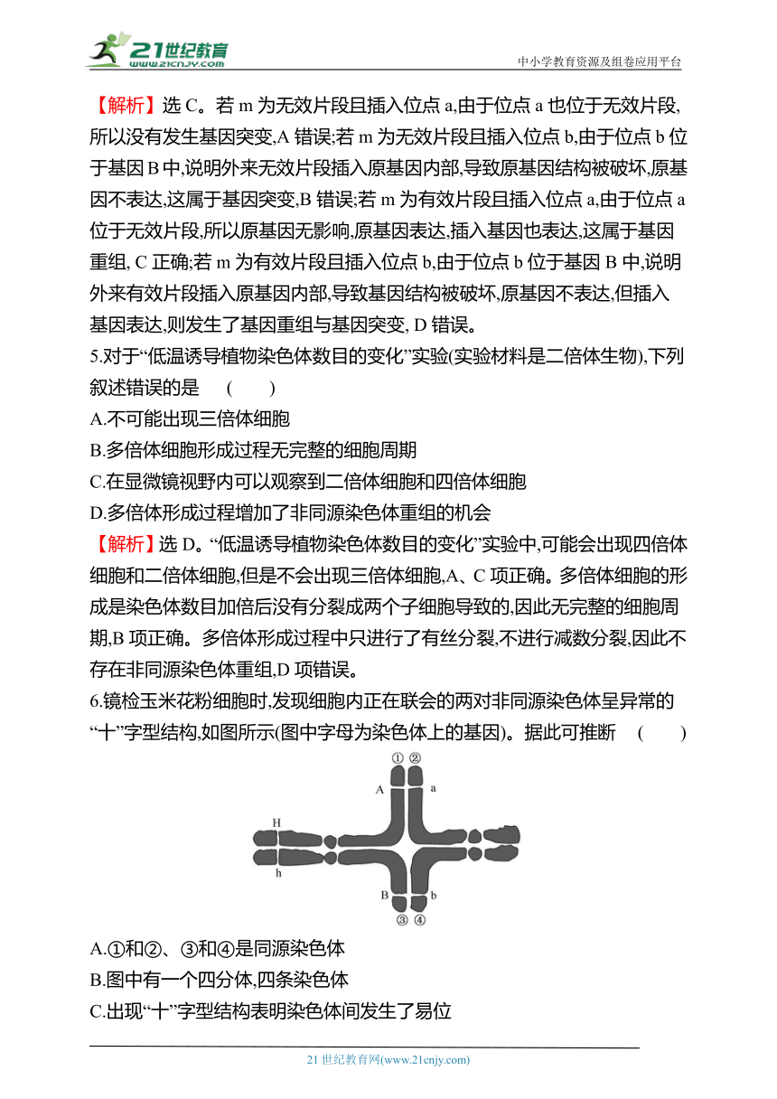 【备考2023】高考生物一轮复习同步检测：20 基因突变、基因重组和染色体变异（含解析）