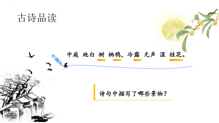 3古诗三首《十五夜望月》课件(共21张PPT)