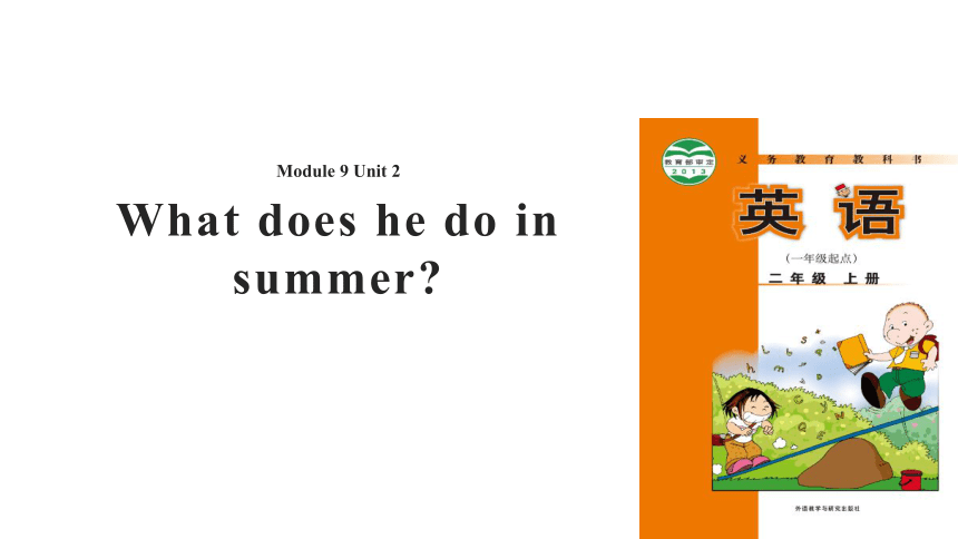 Module 9 Unit 2 What does he do in summer 课件(共27张PPT)