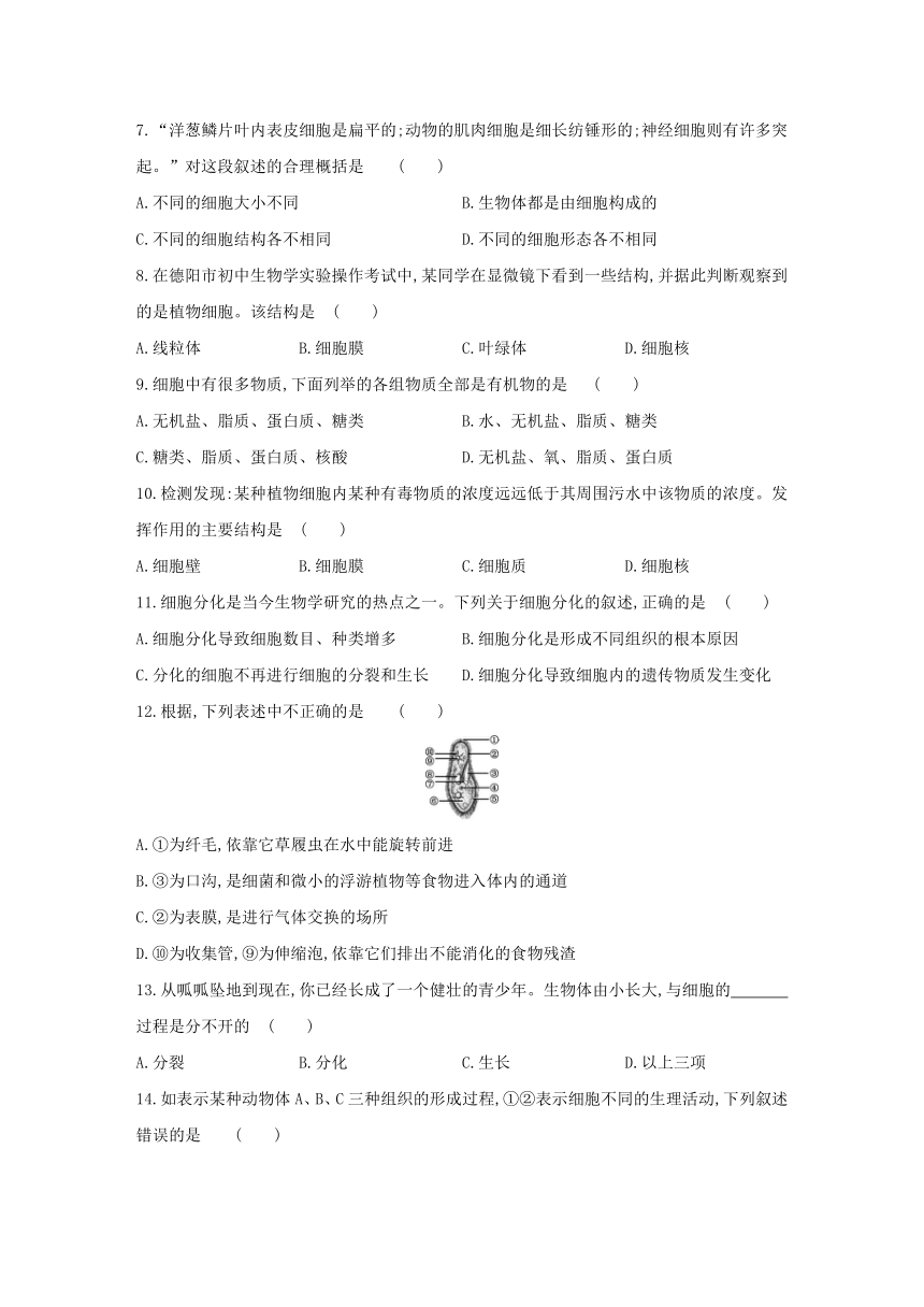 人教版生物学七年级上册同步练习：第二单元 生物体的结构层次   单元综合测试(word版含答案）