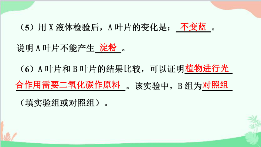 人教版生物七年级上册 3.5.1 光合作用吸收二氧化碳释放氧气 课件 (共28张PPT)