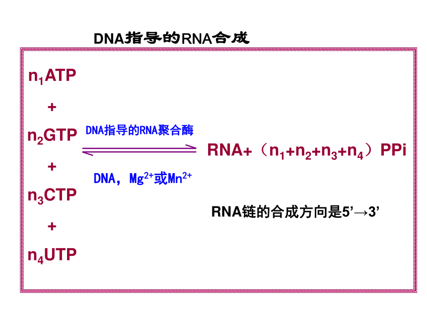 2020-2021学年高中生物竞赛RNA的生物合成课件(105PPT)