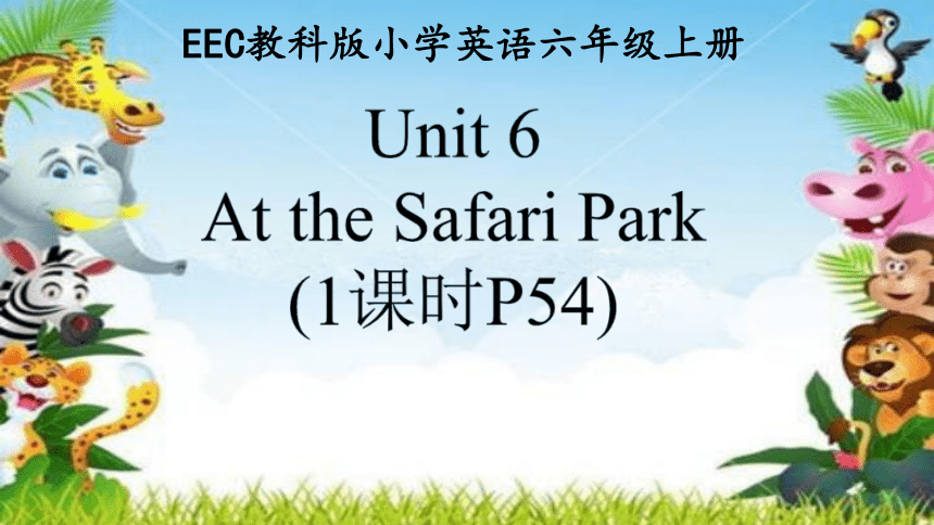 Unit 6At  the Safair Park课件(共22张PPT)