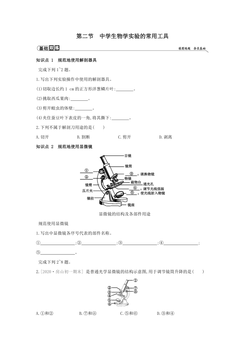 北京版生物学七年级上册同步练习：2.2  中学生物学实验的常用工具(word版含答案）