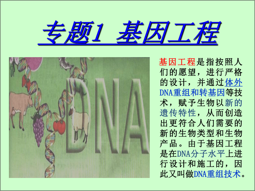 人教版高中生物选修三 专题1-第1节 DNA重组技术的基本工具 课件（27张ppt）