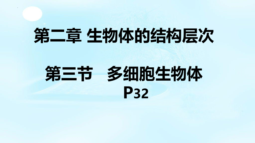 1.2.3 多细胞生物体课件(共28张PPT)2022-2023学年冀少版生物七年级上册