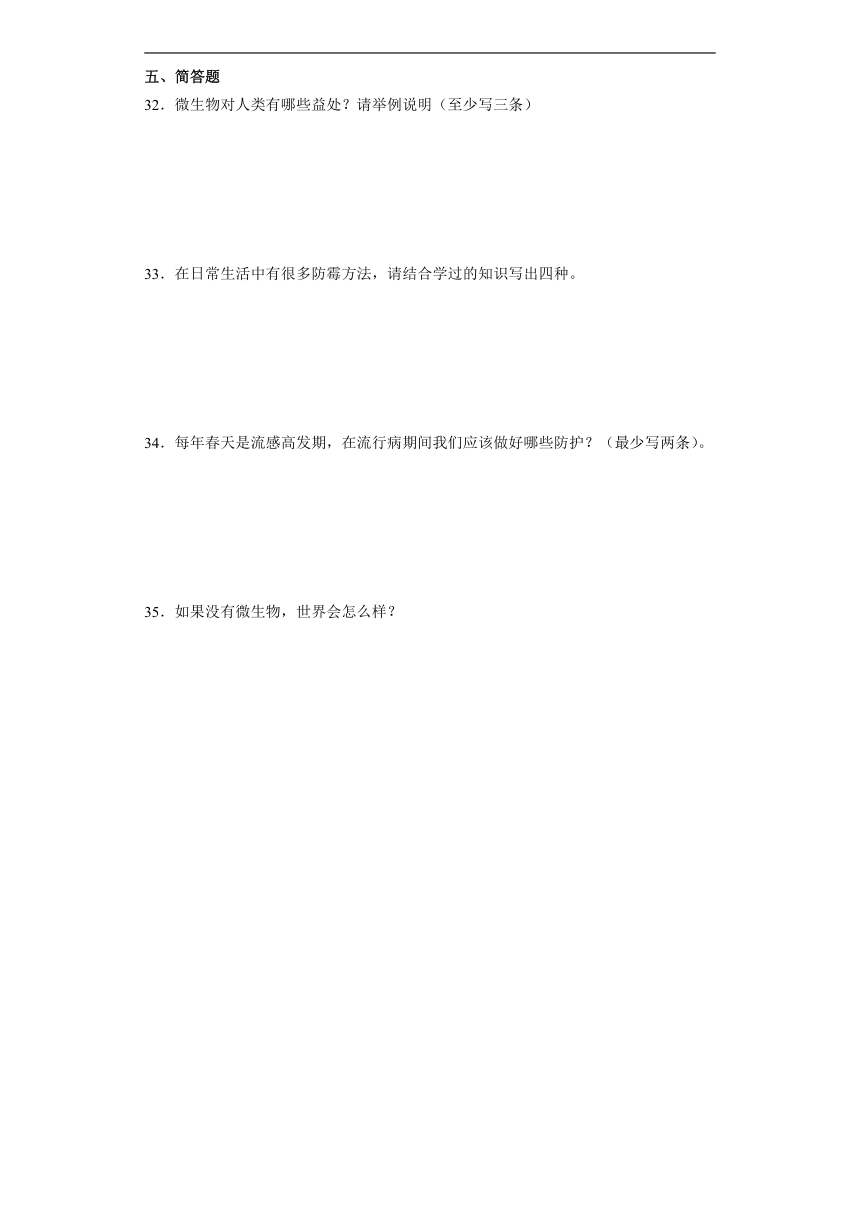 苏教版五年级下册科学第一单元显微镜下的生命世界综合训练（含解析）