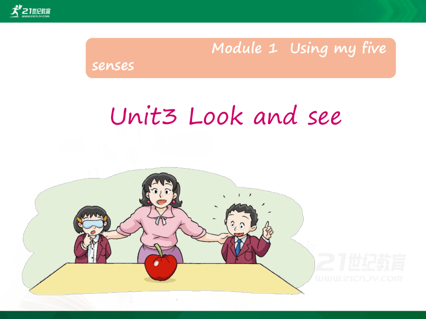 Unit3 Look and see课件