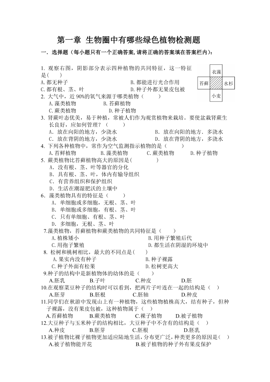 人教版生物七年级上册第三单元第一章生物圈中有哪些绿色植物检测题（Word版无答案）