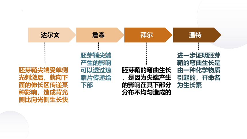 4.1+植物生长素（课件）-2022-2023学年高二生物同步精品课堂（苏教版2019选择性必修1）(共38张PPT)