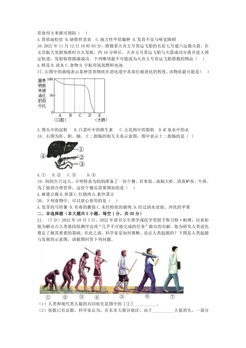 河南省周口市郸城县第二实验中学2022-2023学年七年级下学期3月月考生物试题（含答案）