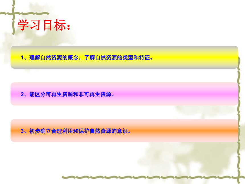 粤教版八年级地理上册3.1自然资源概况 课件-（21张ppt）