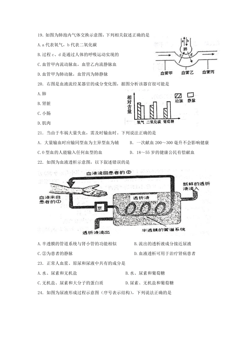 山东省东营市广饶县（五四学制）2021-2022学年七年级上学期期末生物试题（word版无答案）