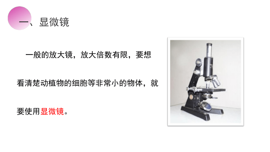 人教版物理八年级上册课件：5.5 显微镜和望远镜（共38张PPT）