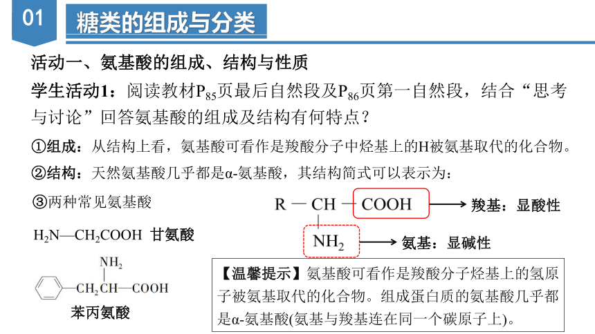 7.4.2  蛋白质（教学课件）-高一化学（人教版2019必修第二册）