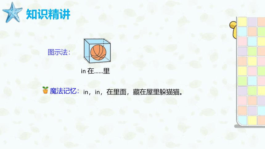 外研版（新）三上 Module 8 Unit 2 Where's the cat【优质课件】