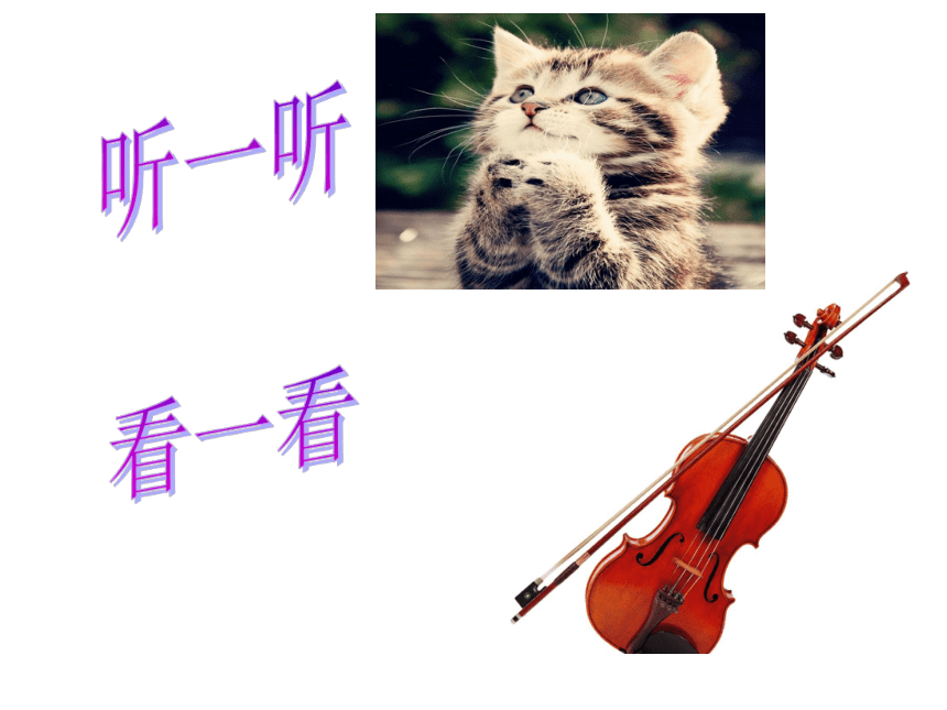 人音版（五线谱）二年级上册音乐 5.2跳圆舞曲的小猫 课件(共12张PPT)