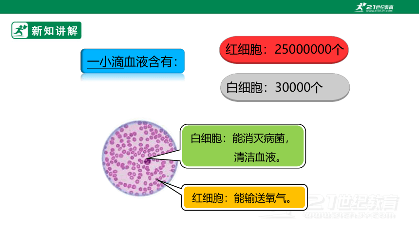 （2022秋季新教材）人教版小学数学四年级上册1.5《亿以内数的改写》PPT课件(共18张PPT)