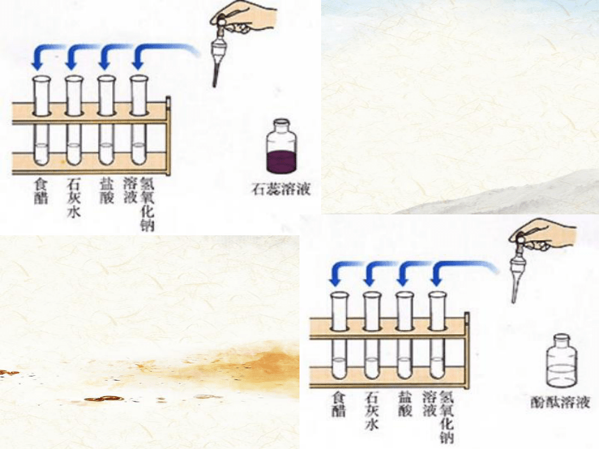 2020-2021学年人教版初中化学九年级下册第十单元 实验活动7：溶液酸碱性的检验 课件（19张PPT）