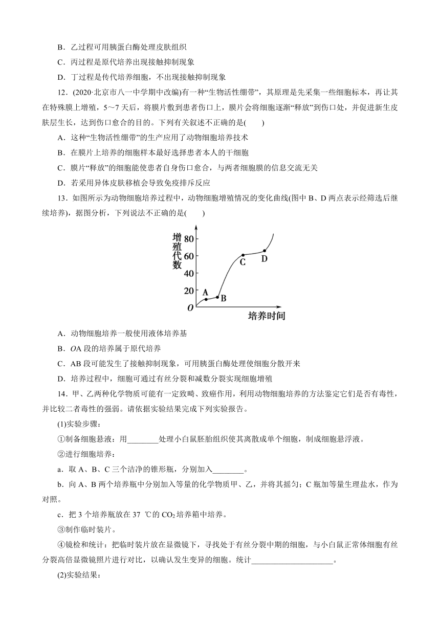 2.2.1动物细胞培养 练习 2021-2022学年高二生物人教版选择性必修三（WORD班含答案解析）