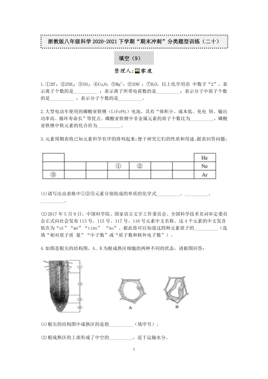 浙教版八年级科学2020-2021下学期“期末冲刺”分类题型训练（二十）：填空（9）【word，含答案】