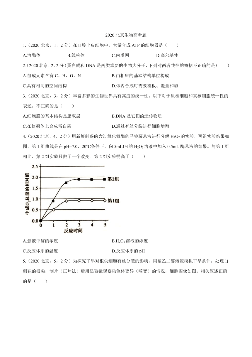2020年北京卷生物高考试题（含答案）